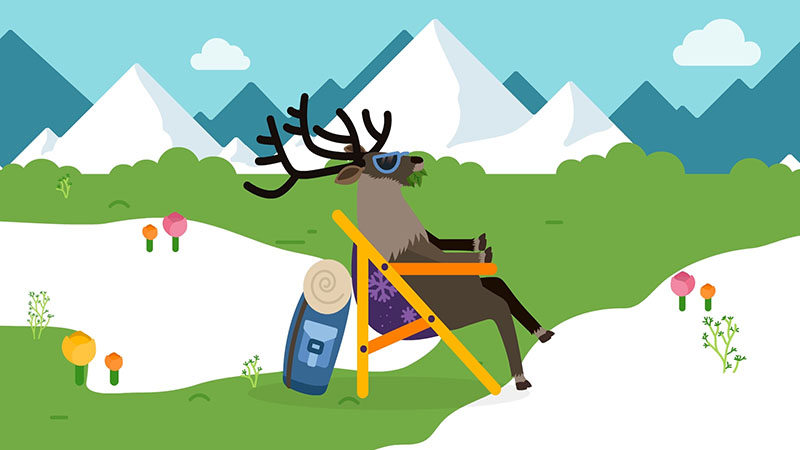 Elk relaxing