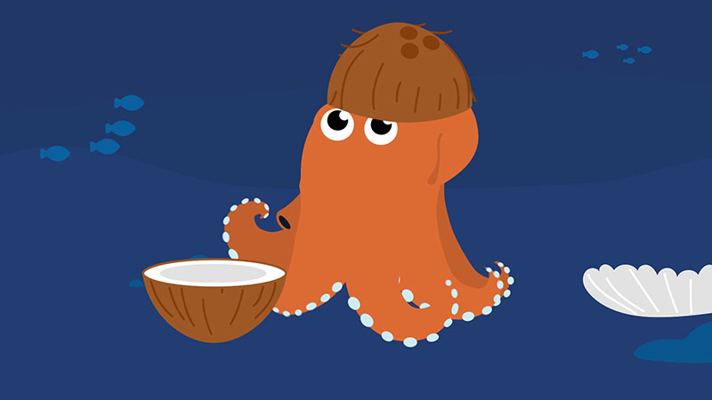 Octopus with coconut hat